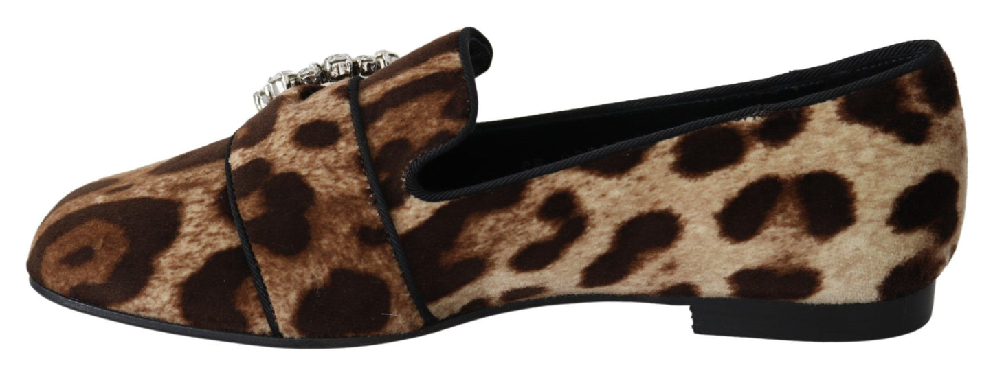 Mocassini Dolce & Gabbana con stampa leopardata decorata con cristalli