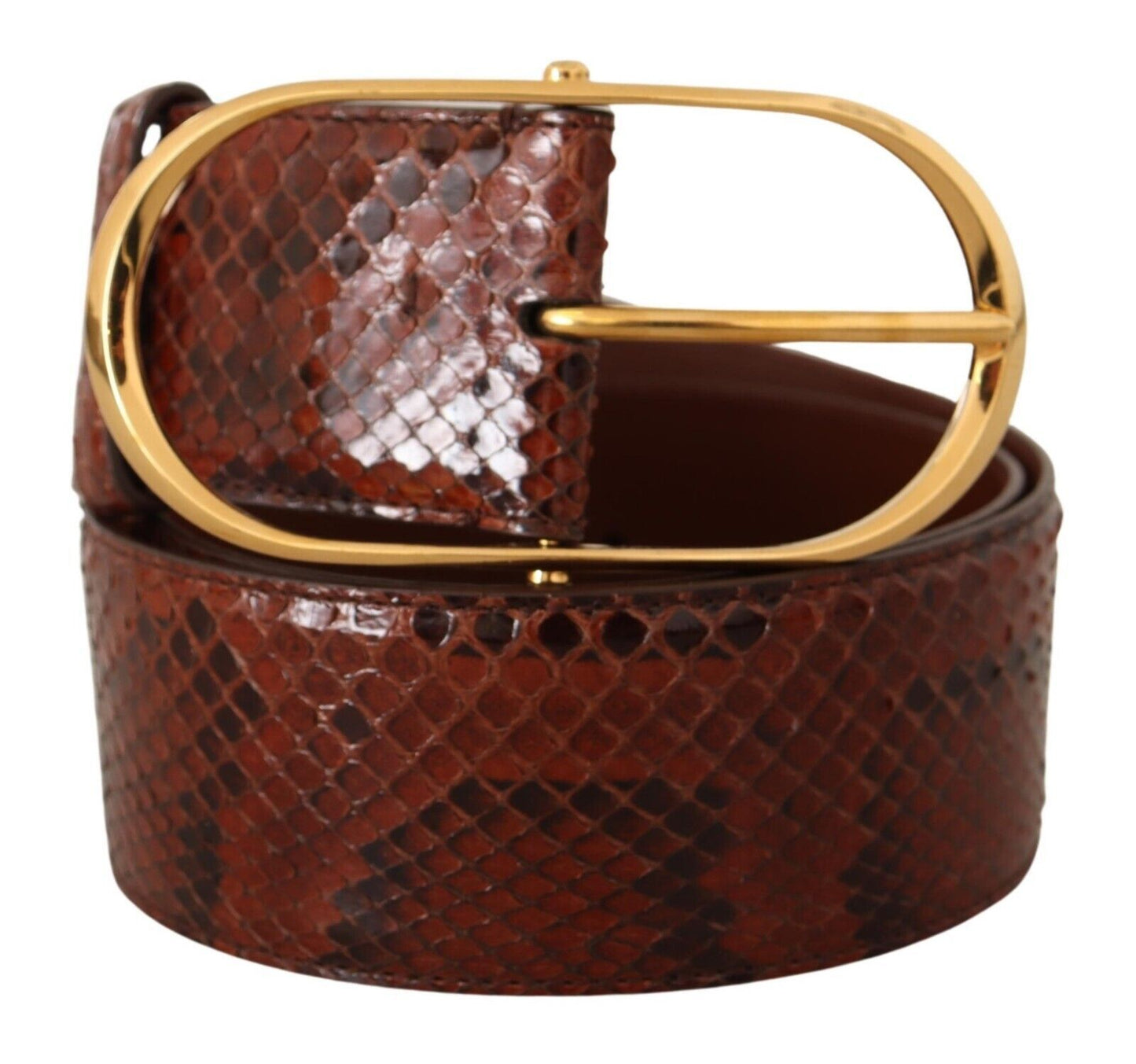 Dolce & Gabbana Elegante cintura in pelle di pitone serpente