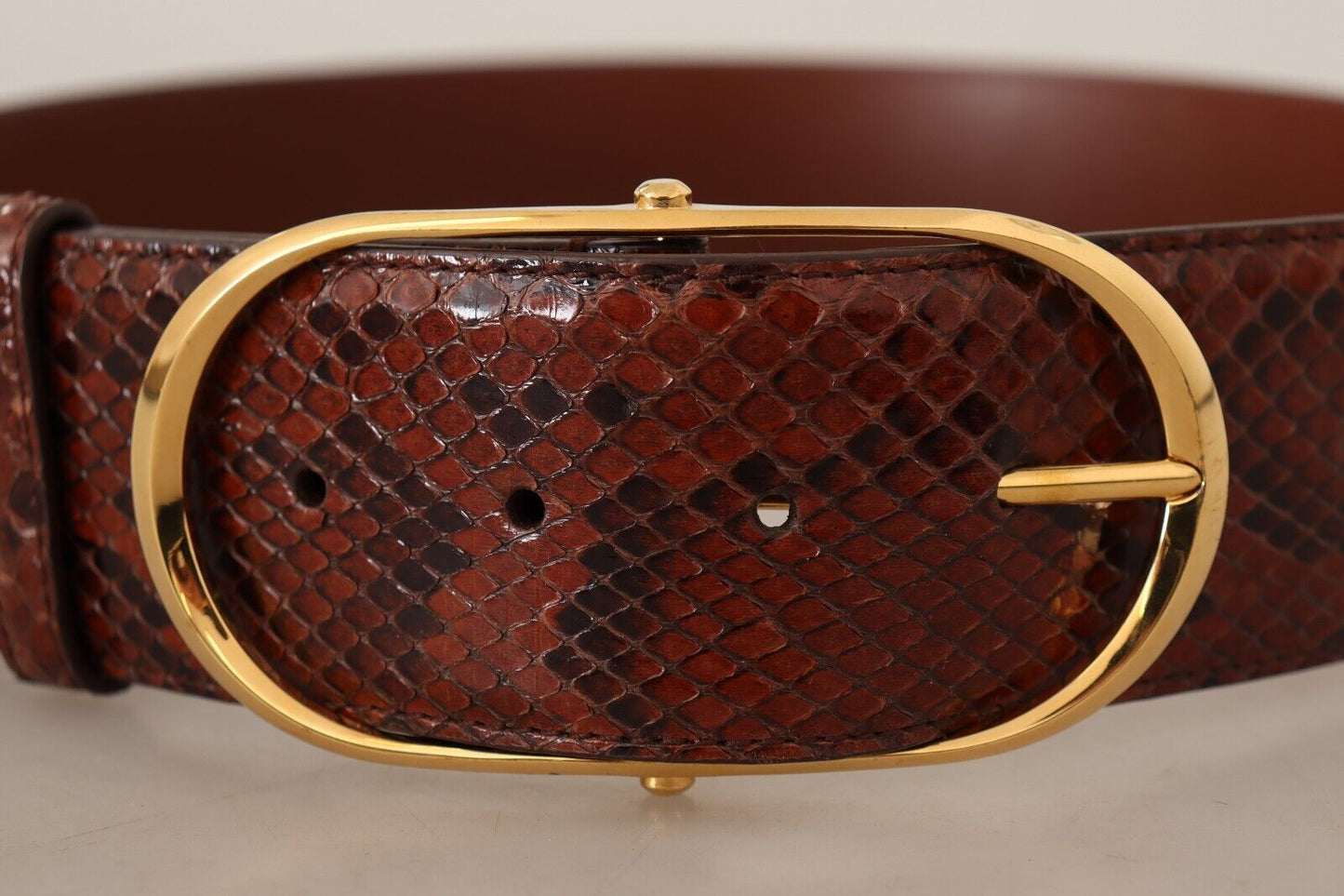 Dolce & Gabbana Elegante cintura in pelle di pitone serpente