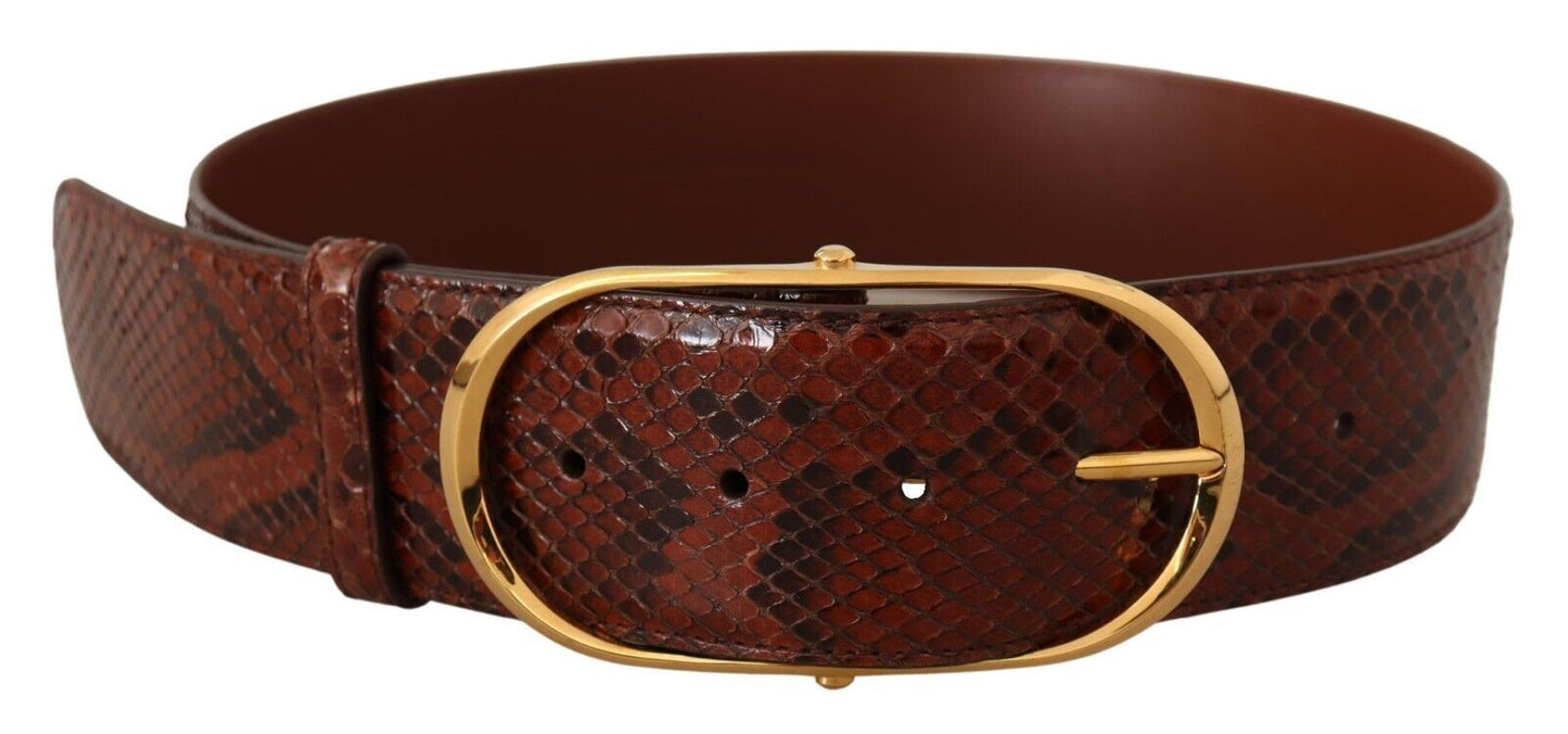 Dolce & Gabbana Elegante cintura in pelle di pitone serpente