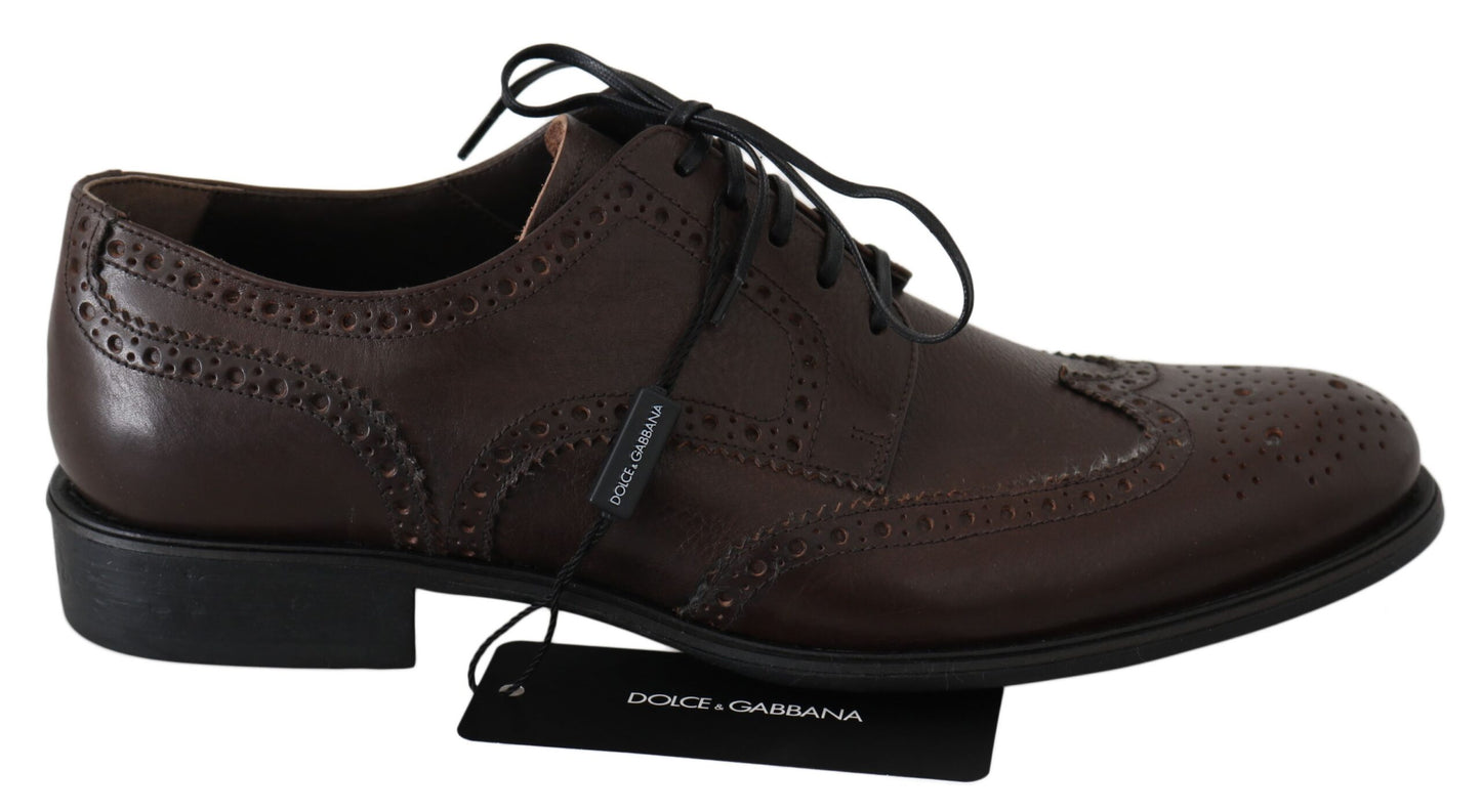 Dolce & Gabbana Eleganti Derby Brogues in Pelle Marrone