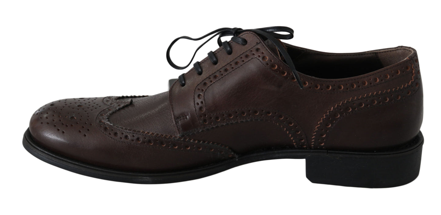 Dolce & Gabbana Eleganti Derby Brogues in Pelle Marrone