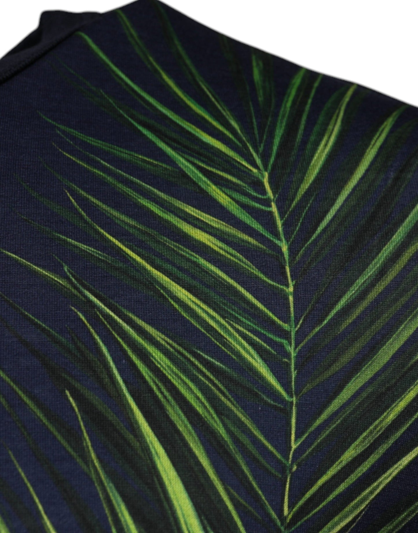 Dolce & Gabbana T-shirt girocollo a maniche corte con stampa Blue Tree