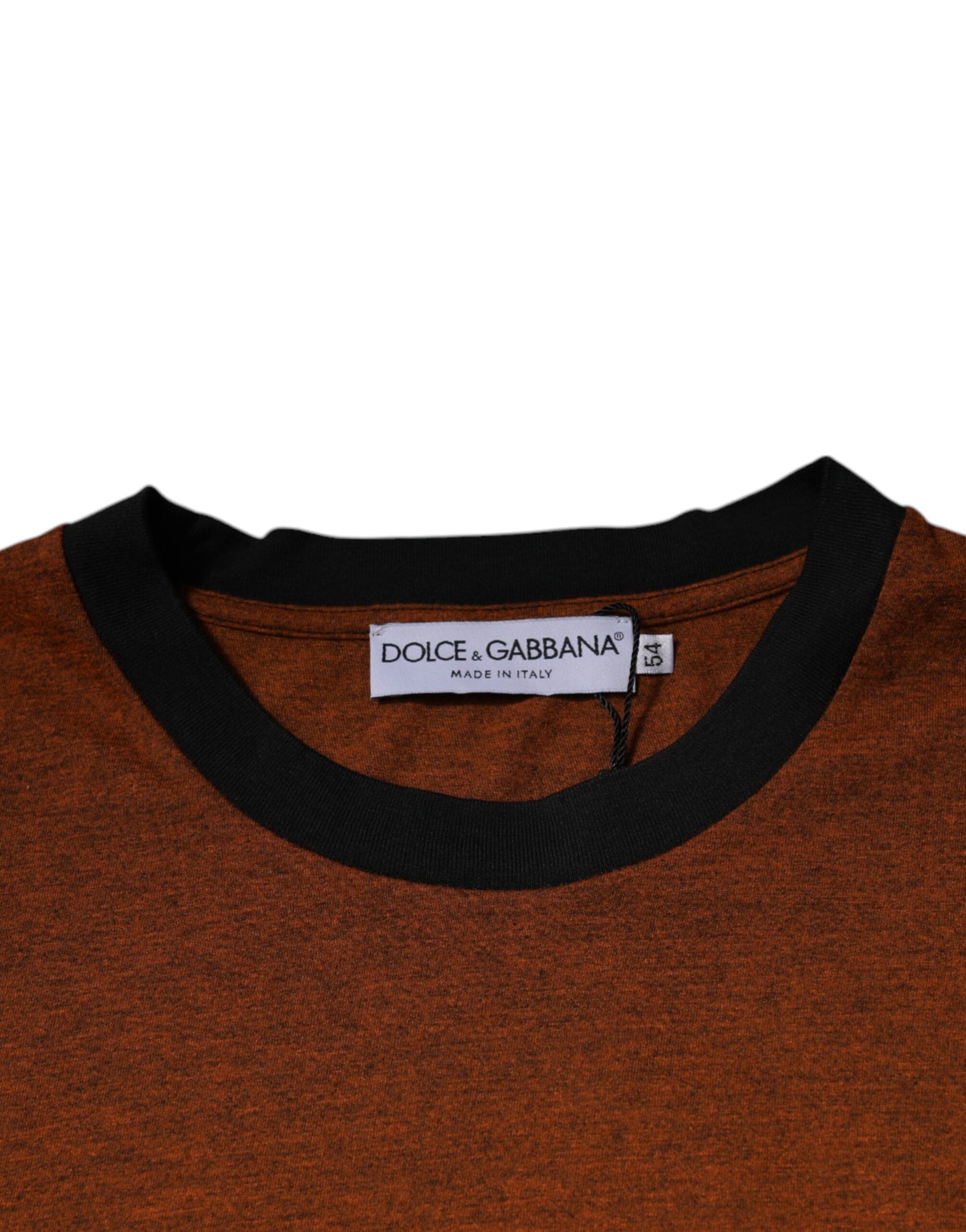 Dolce & Gabbana T-shirt girocollo in cotone con logo DG marrone