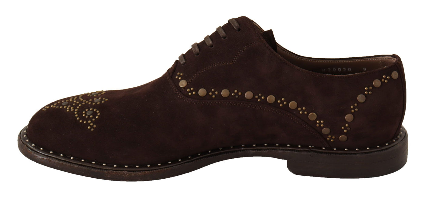 Dolce &amp; Gabbana eleganti scarpe derby con borchie in pelle scamosciata marrone