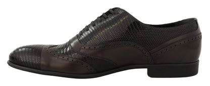 Dolce &amp; Gabbana Scarpe Oxford eleganti in pelle di lucertola marrone