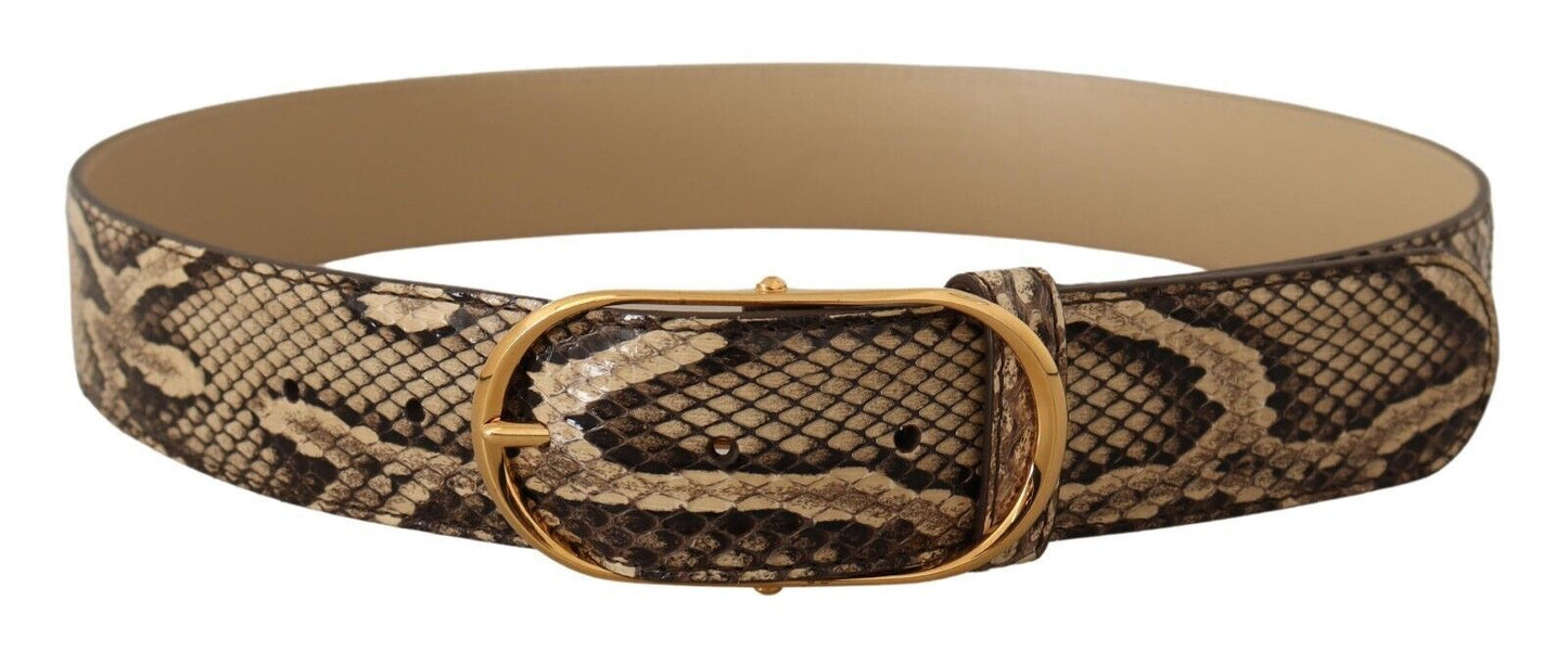 Dolce & Gabbana Elegant Phyton Leather Belt with Gold Buckle