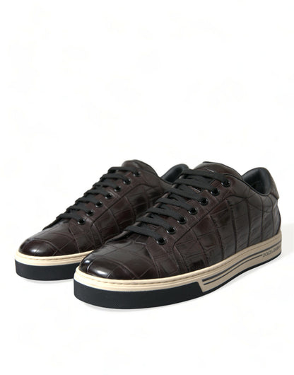 Dolce &amp; Gabbana Eleganti sneakers basse in pelle esotica