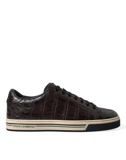 Dolce &amp; Gabbana Eleganti sneakers basse in pelle esotica