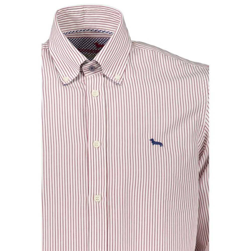 Camicia in cotone button-down a righe eleganti Harmont &amp; Blaine