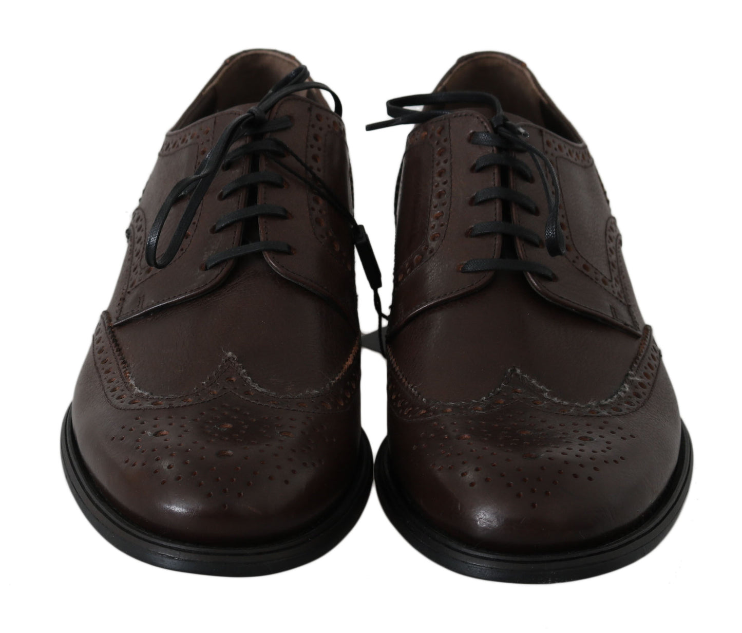 Dolce &amp; Gabbana Eleganti Derby Brogues in Pelle Marrone