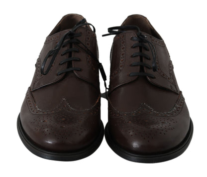 Dolce &amp; Gabbana Eleganti Derby Brogues in Pelle Marrone